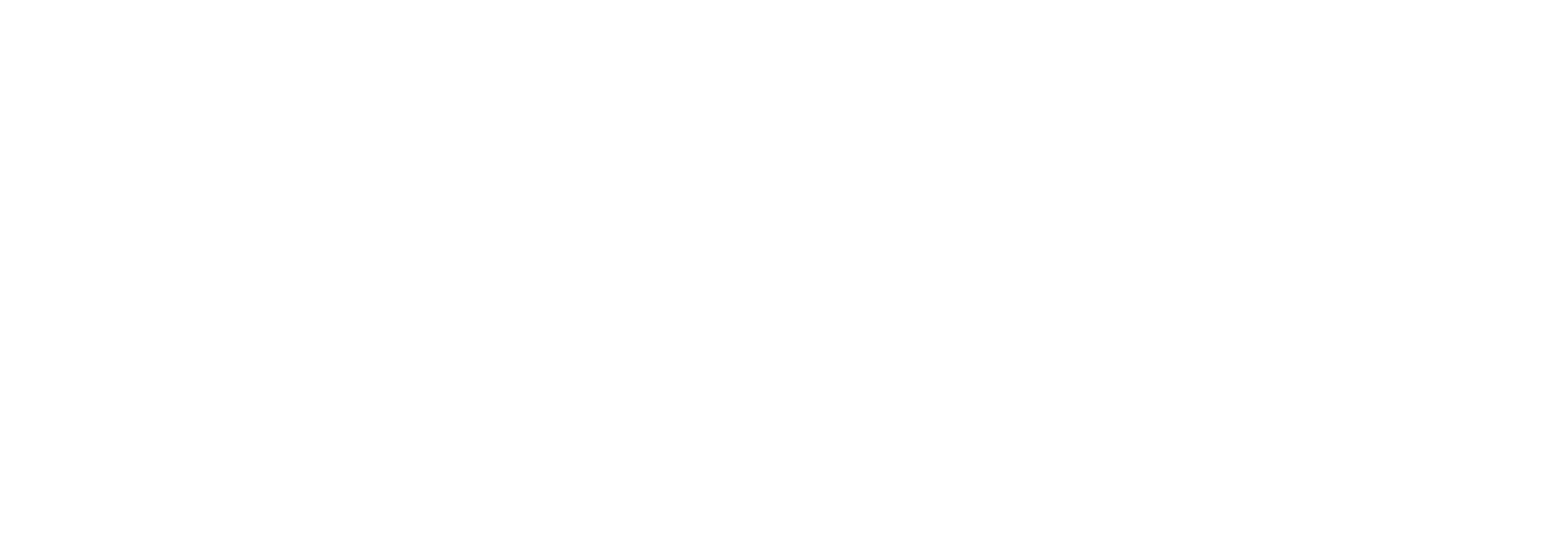 Orange Business